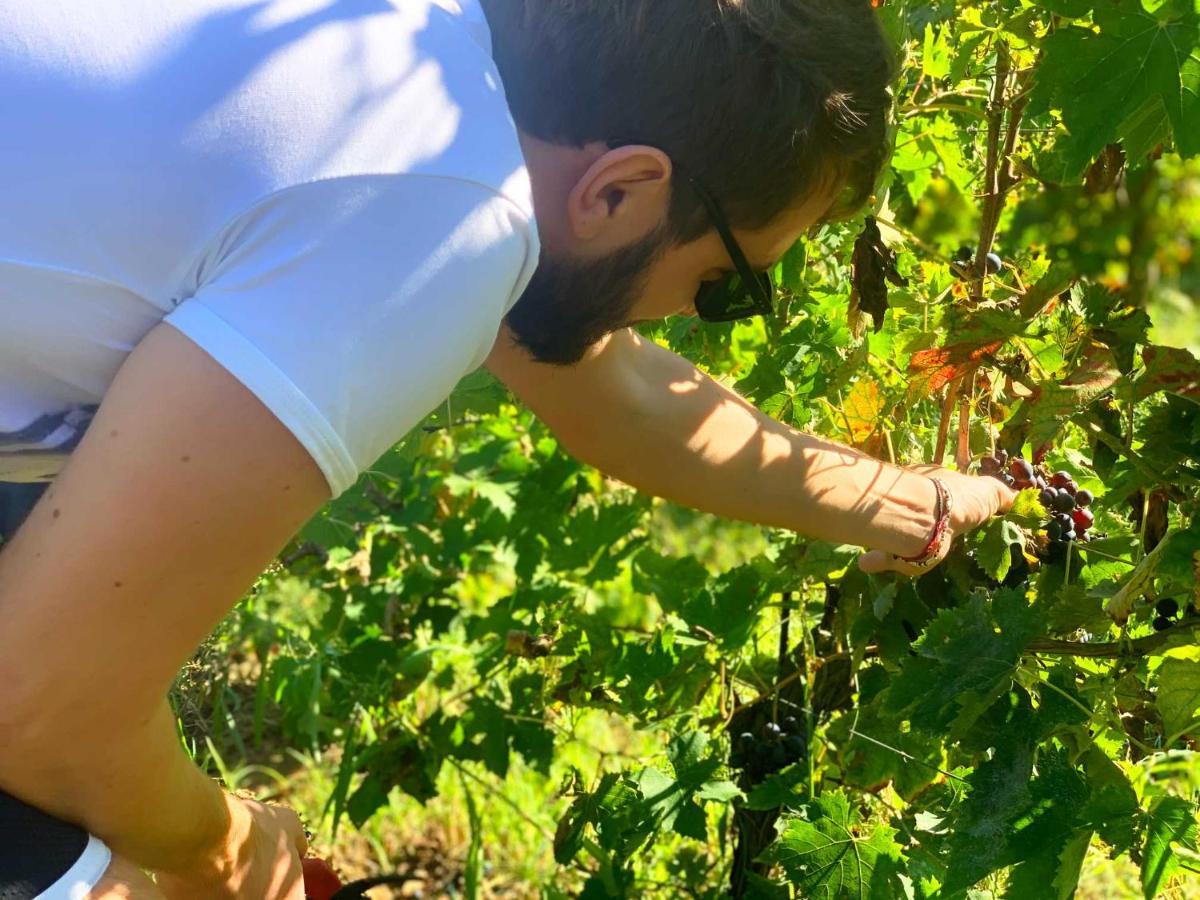 جوليانوفا Agriturismo Biocore 2 - Colledoro المظهر الخارجي الصورة